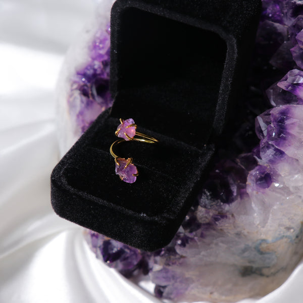 Reborn Into Abundance Rings